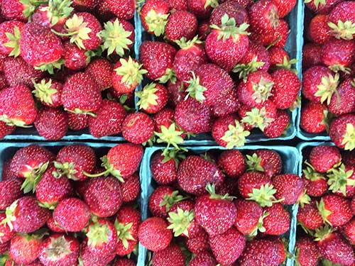 Canton Farmers Market