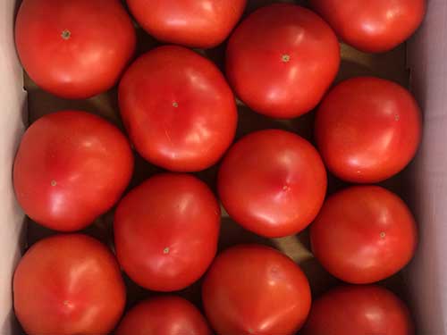 North Country Grown Cooperative