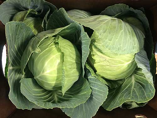 Food Guide: Local Small Farms 