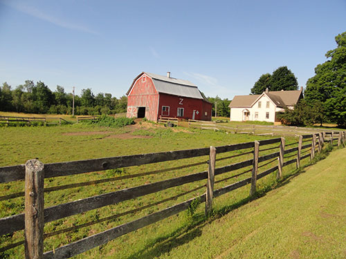 Local Living Venture